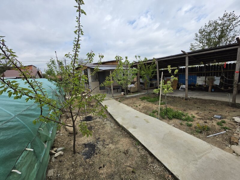 Petricani, strada Steaua Rosie, Lacul Plumbuita, 600 mp, toate utilitatile.