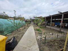 Petricani, strada Steaua Rosie, Lacul Plumbuita, 600 mp, toate utilitatile